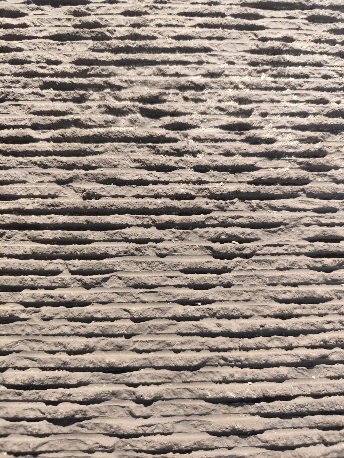 whatsapp image 2025 08 18 at 5.18.29 pm